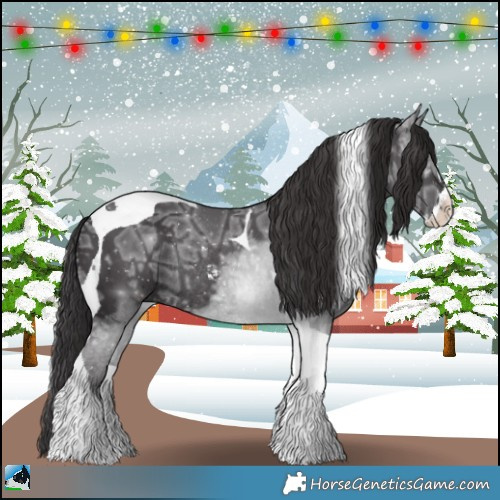 Horse Color:Smoky Black Ice Mushroom Sabino Tobiano Rabicano 