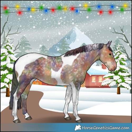 Horse Color:Nacre Buckskin Ice Tobiano 