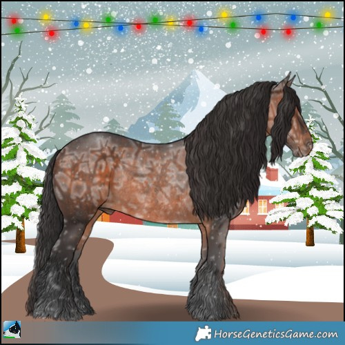 Horse Color:Brown Ice Rabicano 