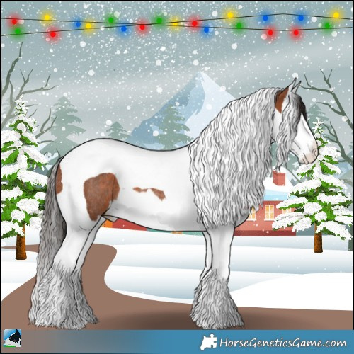 Horse Color:Bay Splash Tobiano Rabicano 