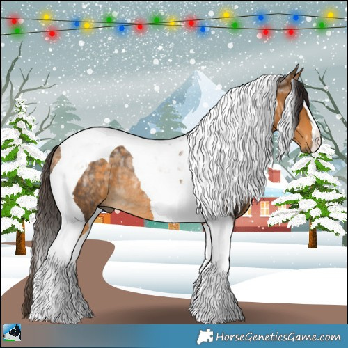 Horse Color:Buckskin Ice Tobiano Rabicano 