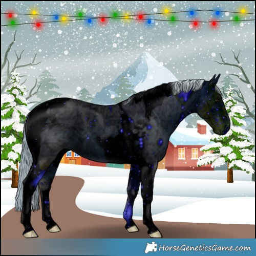 Horse Color:ERROR: UNKNOWN ANOMALY