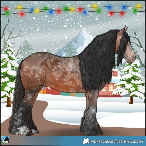 Horse Color:Bay Ice 