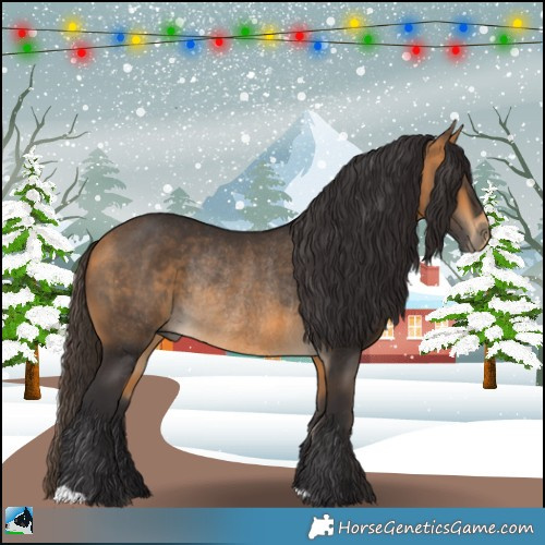 Horse Color:Buckskin Rabicano 