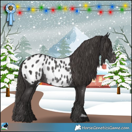 Horse Color:Smoky Black Appaloosa Rabicano 