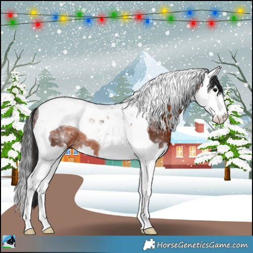 Horse Color:Brown Ice Splash Tobiano Rabicano 
