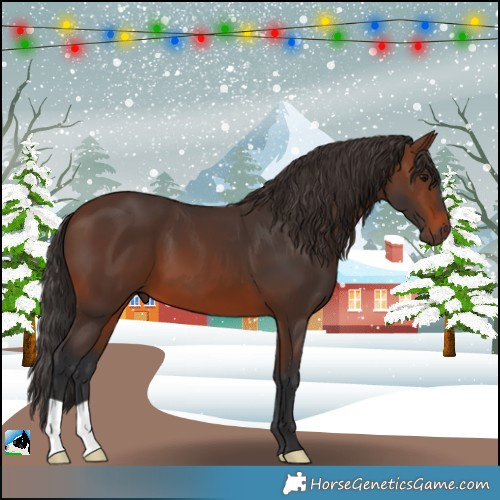 Horse Color:Brown 