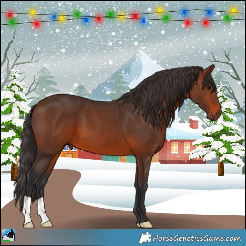 Horse Color:Brown 