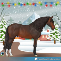 Horse Color:Brown 