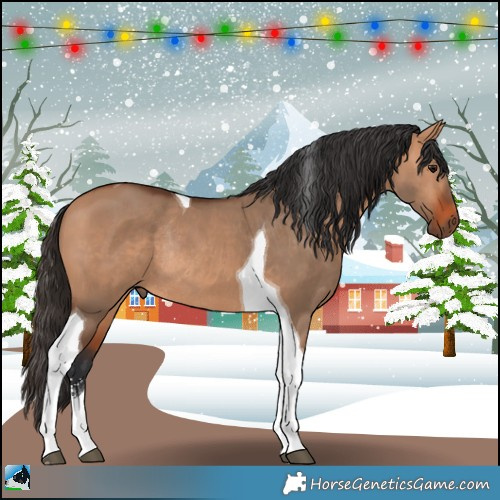 Horse Color:Bay Dun Sabino Tobiano Rabicano 