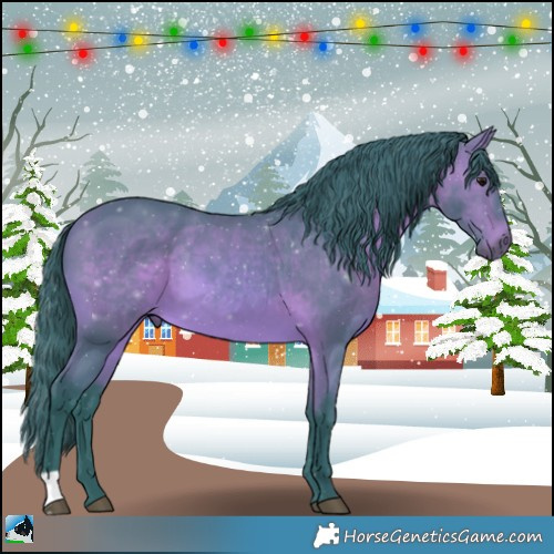 Horse Color:Watercolor Bay 