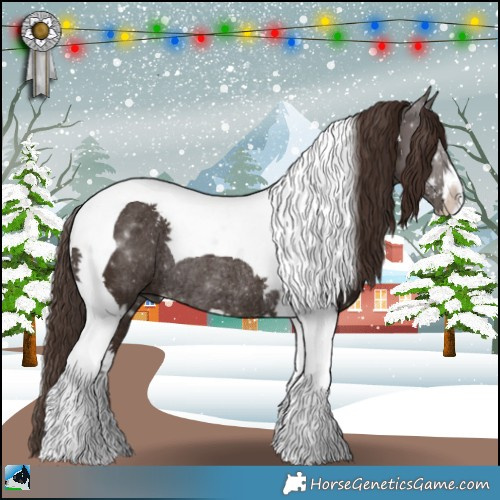 Horse Color:Liver Chestnut Sabino Tobiano Rabicano 