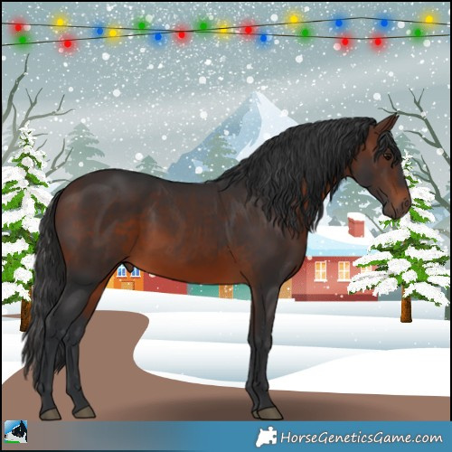 Horse Color:Brown 