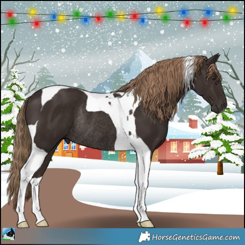 Horse Color:Liver Chestnut Sabino Tobiano Rabicano 