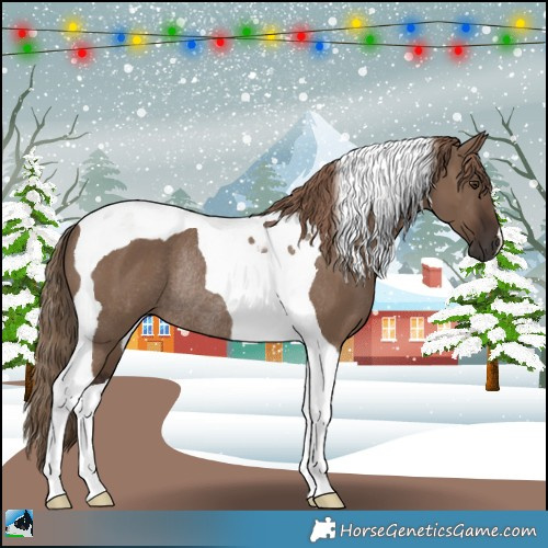 Horse Color:Liver Red Dun Tobiano Rabicano 
