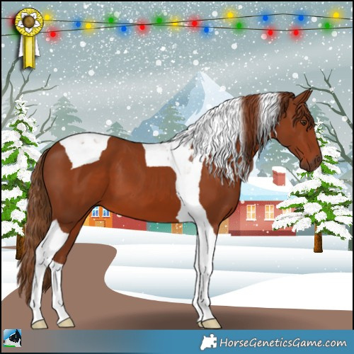 Horse Color:Chestnut Tobiano 