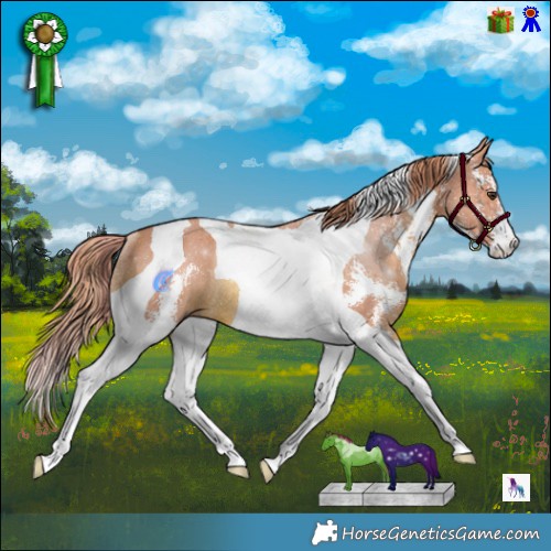 Horse Color:Watercolor Chestnut Sabino Tobiano Rabicano 