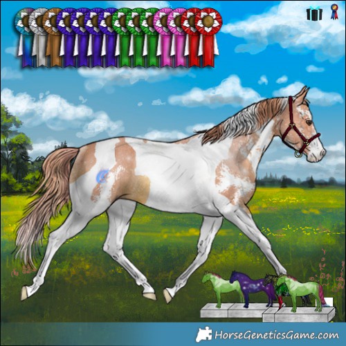 Horse Color:Watercolor Chestnut Sabino Tobiano Rabicano 