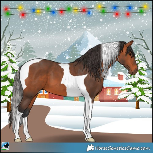 Horse Color:Bay Tobiano 