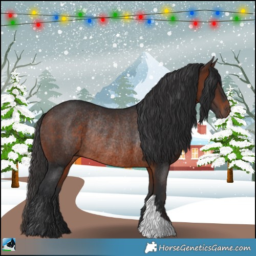 Horse Color:Brown Rabicano 