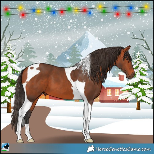 Horse Color:Bay Sabino Tobiano 