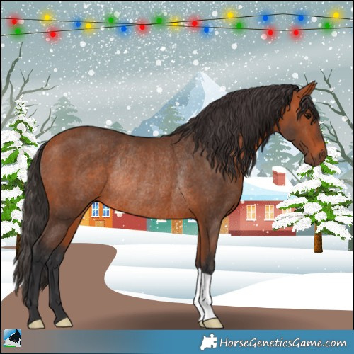 Horse Color:Bay Rabicano 