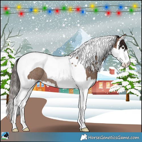 Horse Color:Liver Red Dun Sabino Splash Tobiano Rabicano 