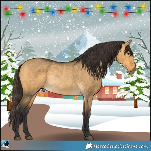 Horse Color:Buckskin Dun Rabicano 