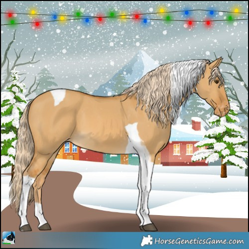 Horse Color:Palomino Dun Tobiano Appaloosa 