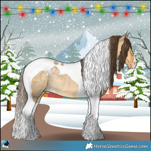 Horse Color:Buckskin Dun Tobiano Blanket Rabicano 