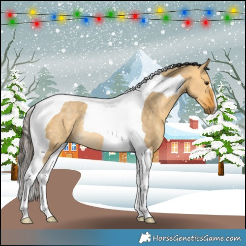 Horse Color:Buckskin Dun Tobiano Rabicano 