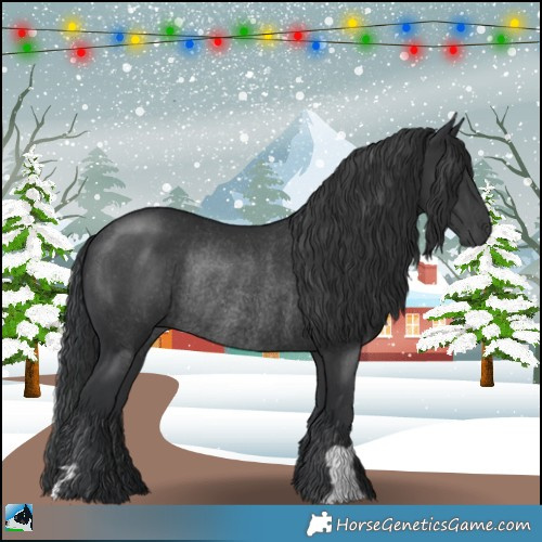Horse Color:Black Rabicano 