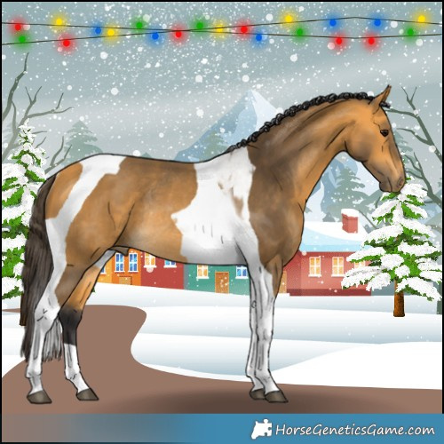 Horse Color:Buckskin Tobiano Rabicano 