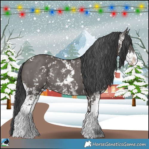 Horse Color:Grullo Mushroom Sabino Rabicano 