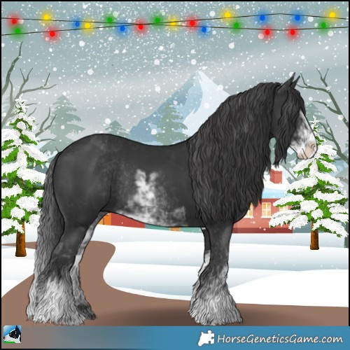 Horse Color:Black Sabino Rabicano 