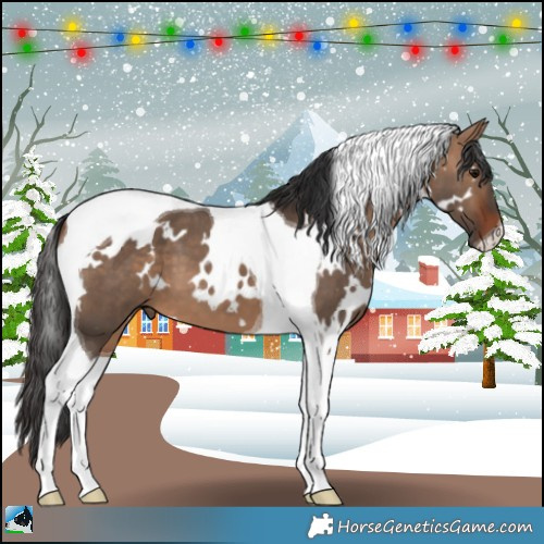 Horse Color:White Spotted Bay Dun Tobiano 