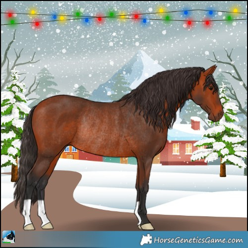 Horse Color:Bay Rabicano 