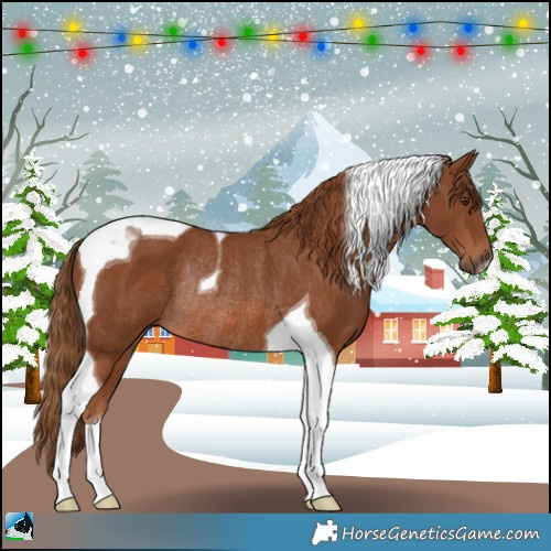 Horse Color:Chestnut Tobiano Rabicano 