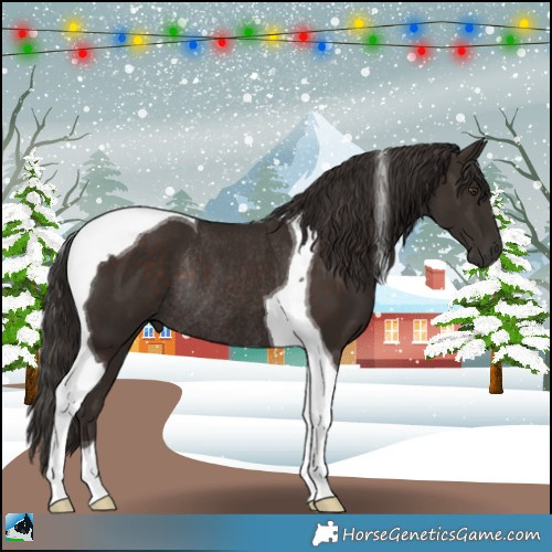 Horse Color:Liver Chestnut Tobiano Rabicano 