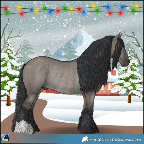 Horse Color:Grullo Mushroom Rabicano 