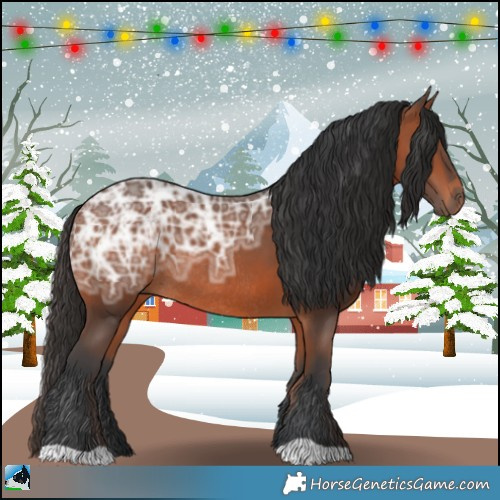 Horse Color:Bay Ice Rabicano 