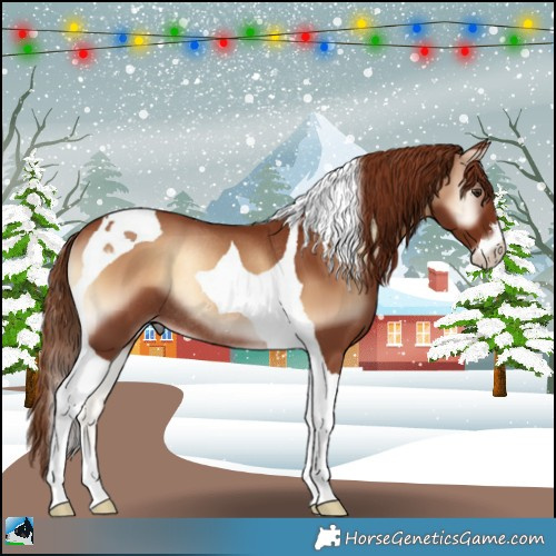 Horse Color:Red Onyx Sabino Tobiano Rabicano 