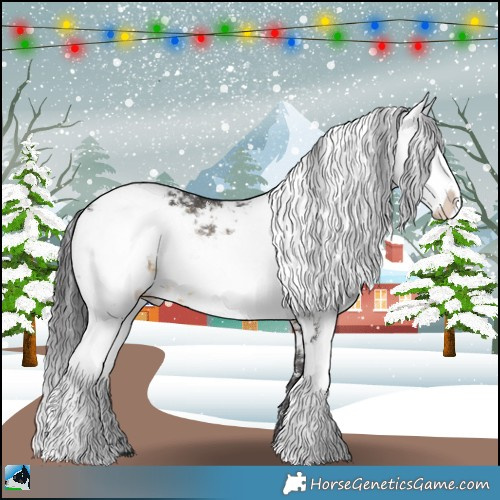 Horse Color:Buckskin Mushroom Sabino Rabicano 