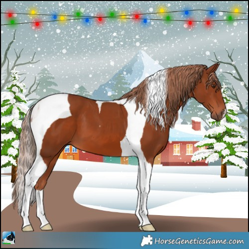 Horse Color:Chestnut Tobiano 