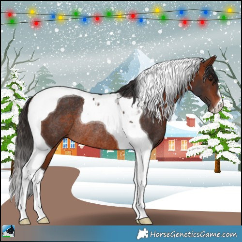 Horse Color:Bay Tobiano Rabicano 