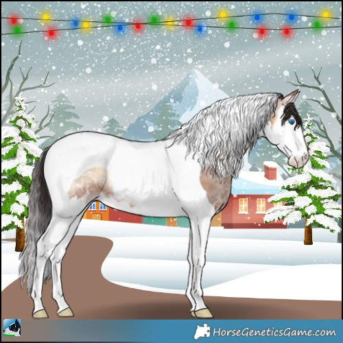Horse Color:Sable Champagne Ice Onyx Splash Tobiano 