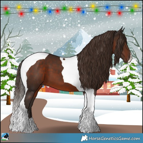 Horse Color:Liver Chestnut Tobiano 
