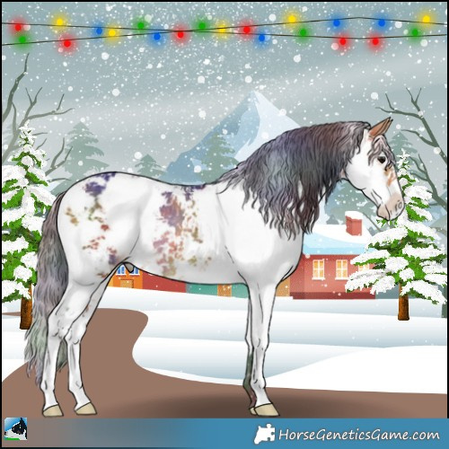 Horse Color:Nacre Buckskin Sabino Rabicano 