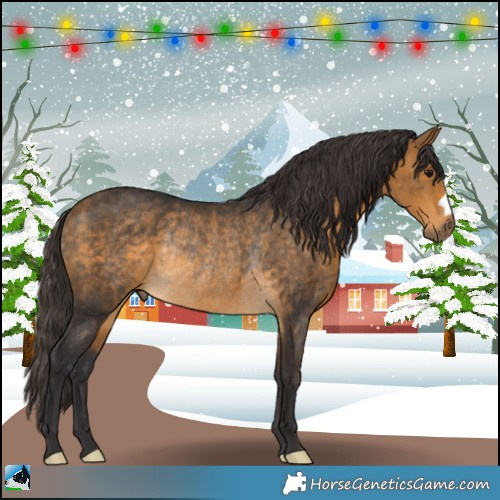 Horse Color:Buckskin Rabicano 
