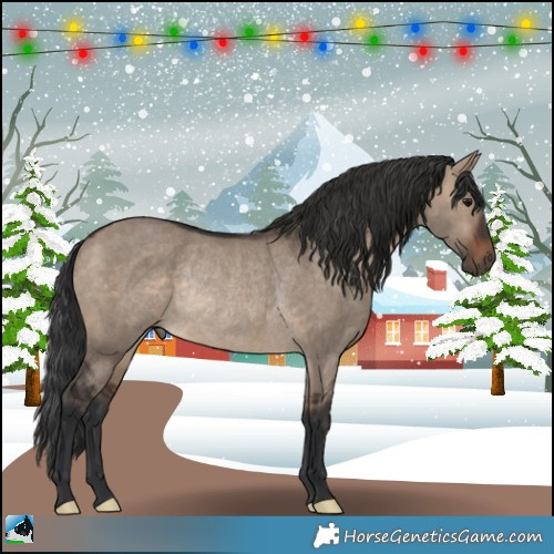 Horse Color:Brown Dun Rabicano 